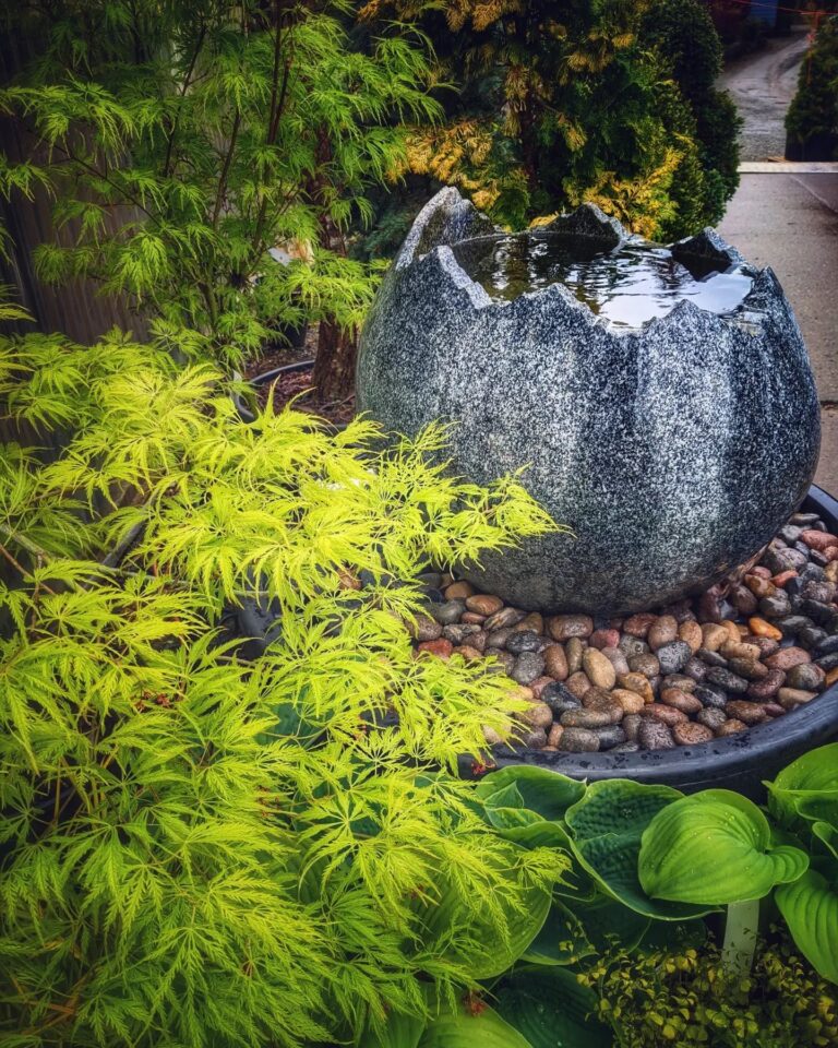 Top 10 Japanese Maples with green foliage